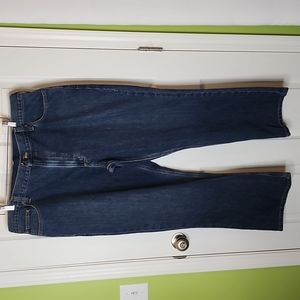 Carhartt Men's Relaxed Fit Holter Dark Wash Jeans, Size 42 x 30